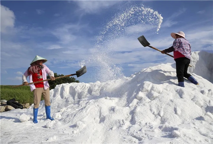 1740532875217753.jpg 640.webp.jpg