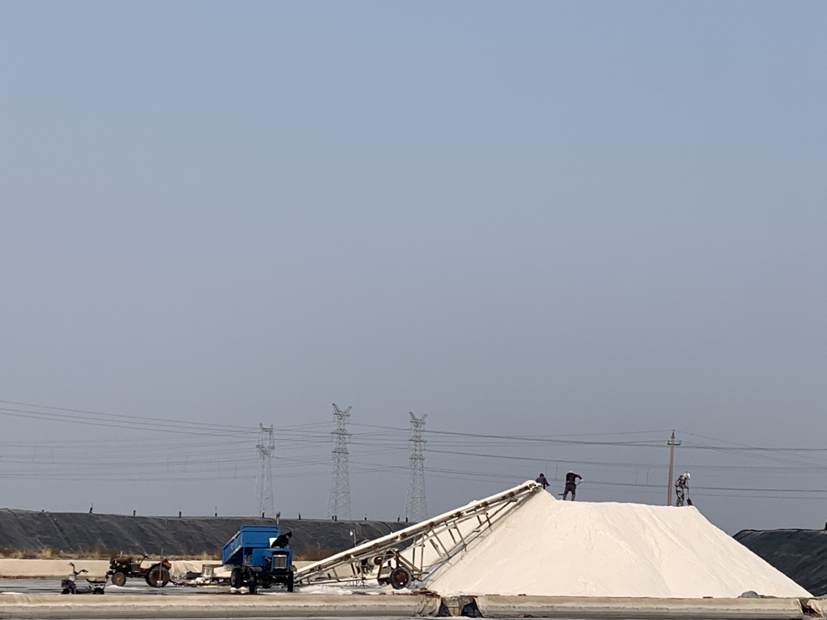 1741658062324128.jpg 1741658062324128.jpg