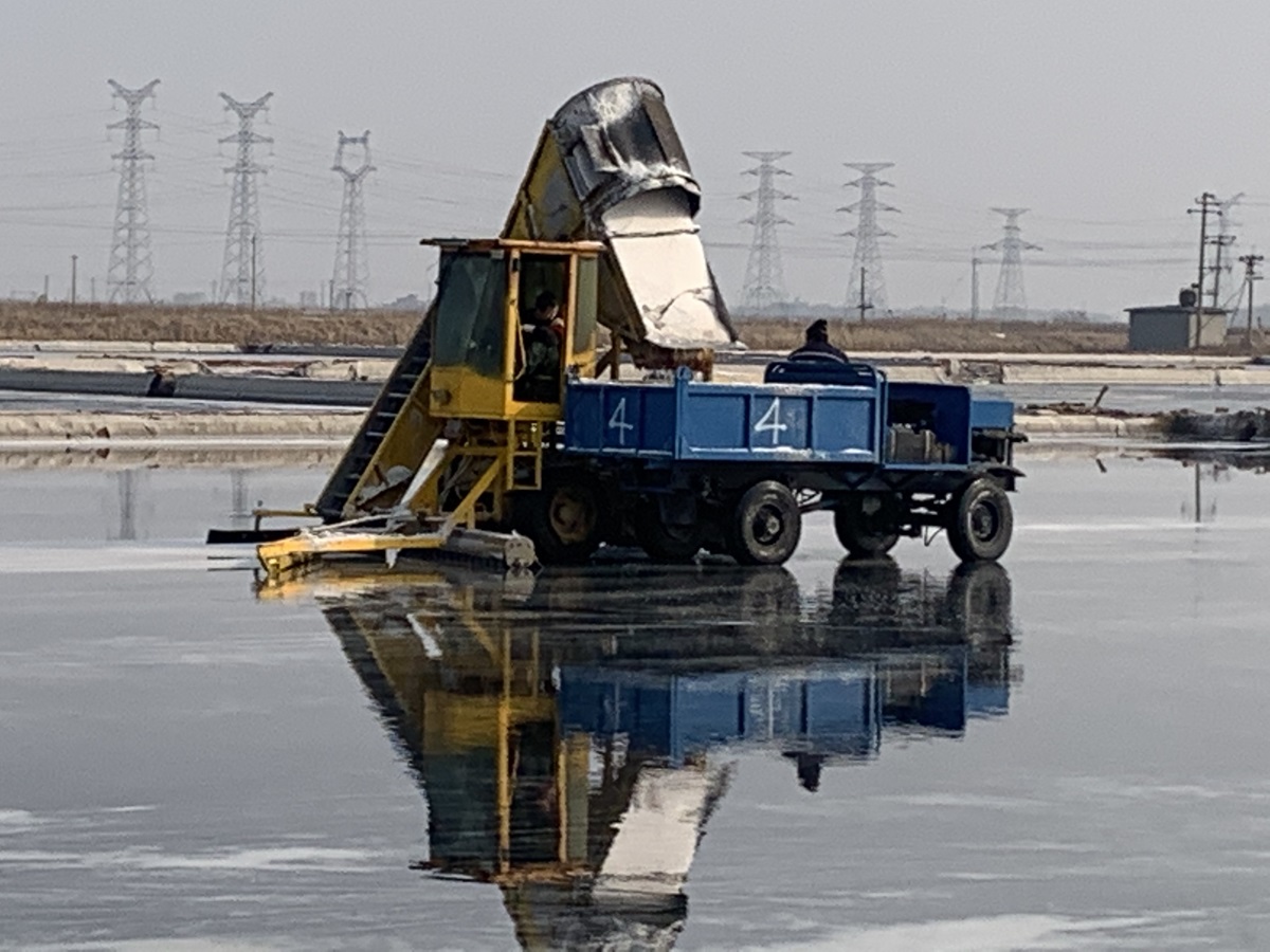 1741658175135514.jpg 1741658175135514.jpg